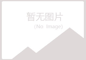 尖山区夜白律师有限公司